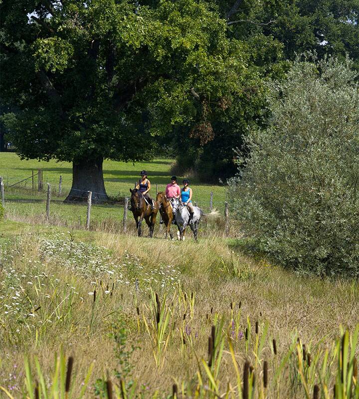 Trois cavaliers en promenade équestre longent une clôture dans une prairie arborée au Château d’Ygrande, en France.