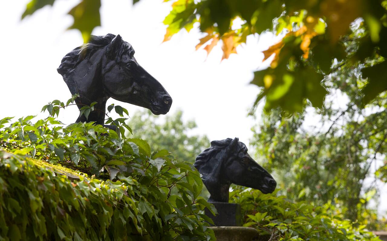 Deux sculptures de têtes de chevaux parmi la végétation du jardin du Château d’Ygrande.