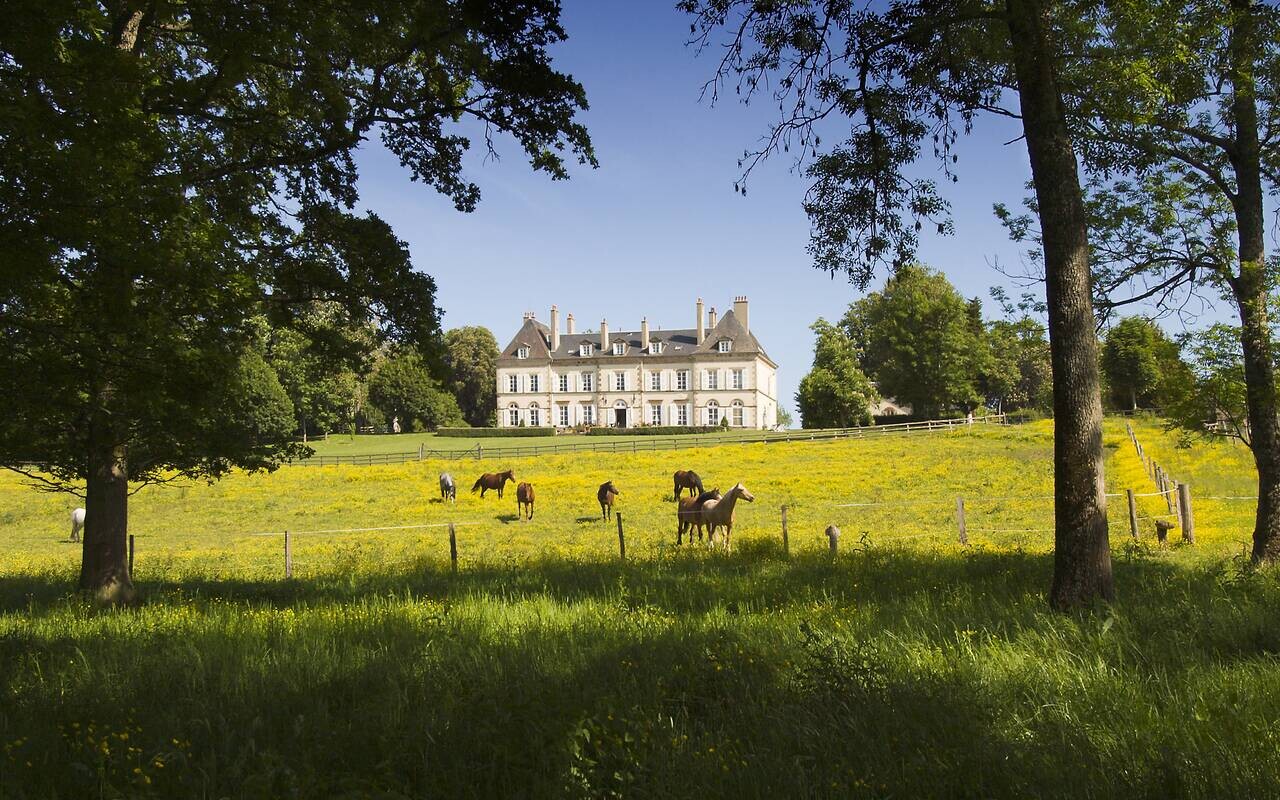 Chevaux dans une prairie fleurie devant la façade d’un hôtel de charme près de Vichy.