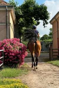 Une personne à cheval dans une allée fleurie des écuries du Château d’Ygrande, en Auvergne.