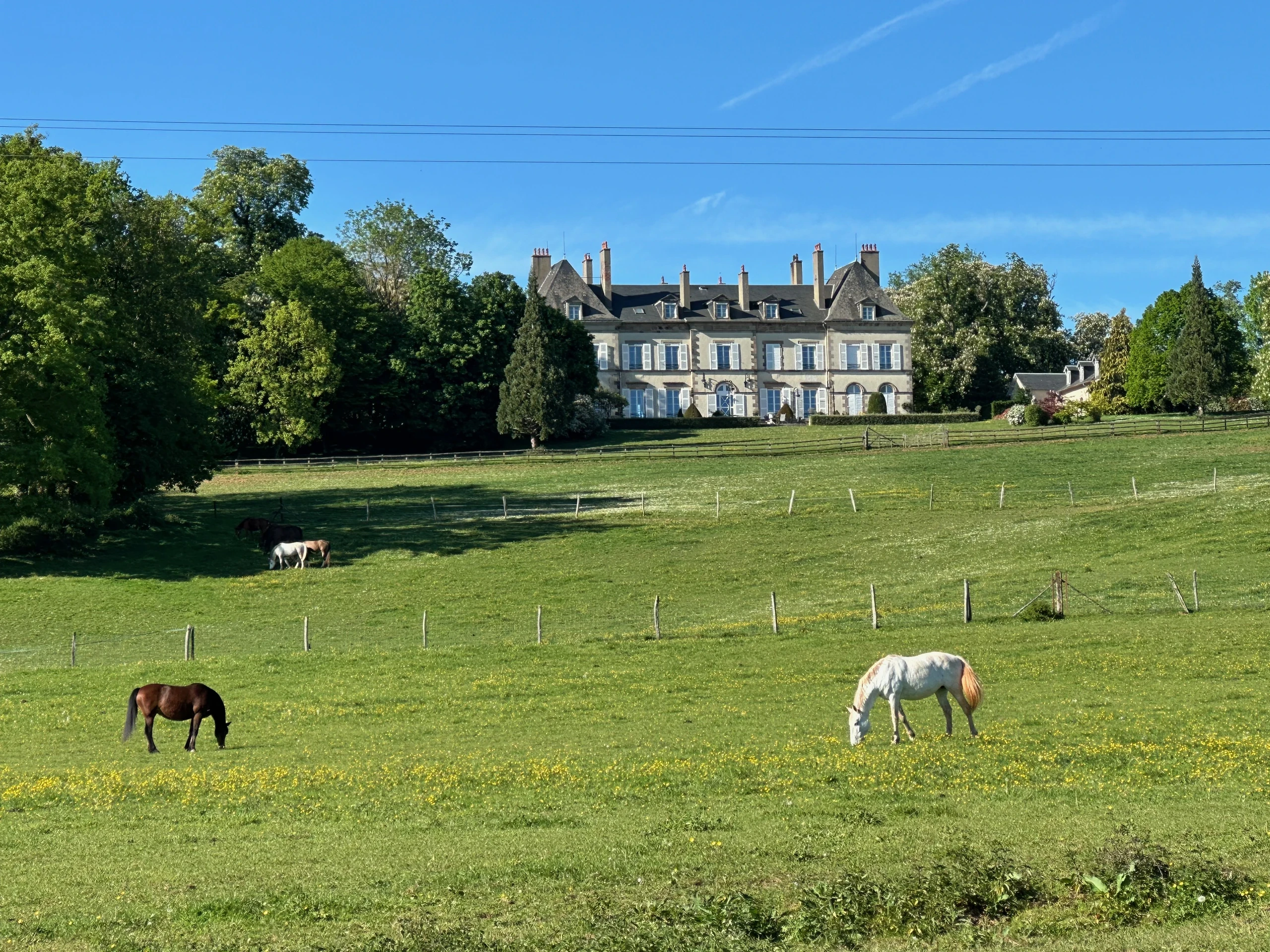 Chevaux au pâturage devant le Château d’Ygrande en Auvergne.