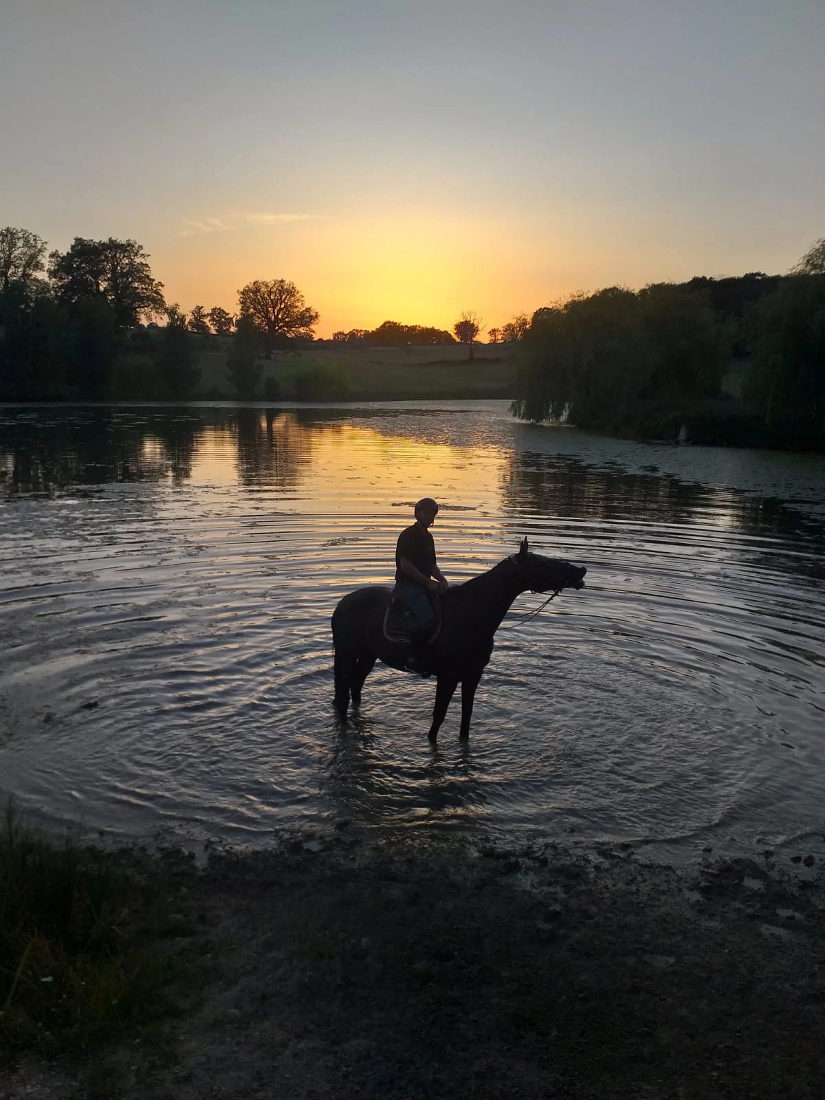 Cavalier sur un cheval dans un étang au coucher du soleil.