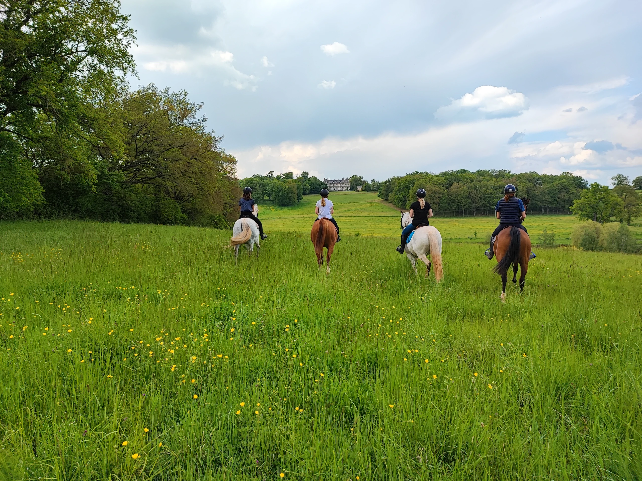 Quatre cavaliers vus de dos traversent une prairie fleurie, avec un château à l’horizon.